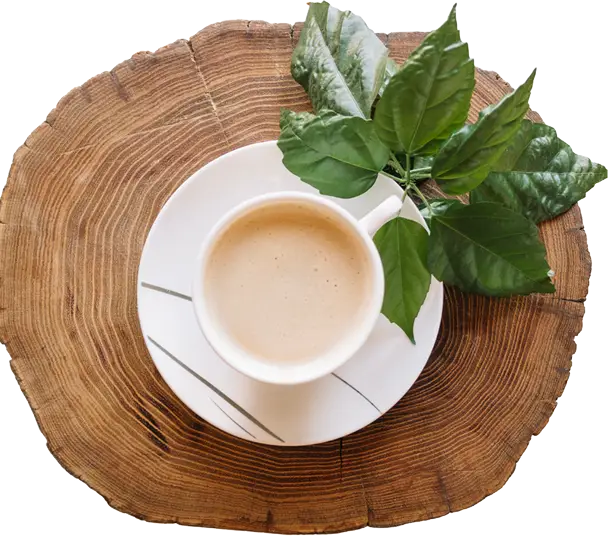DUELLUM COFFEE kávé kapszulák